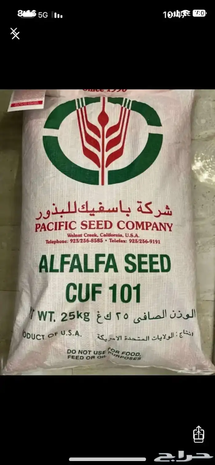بذور برسيم ( باسفيك ) 0