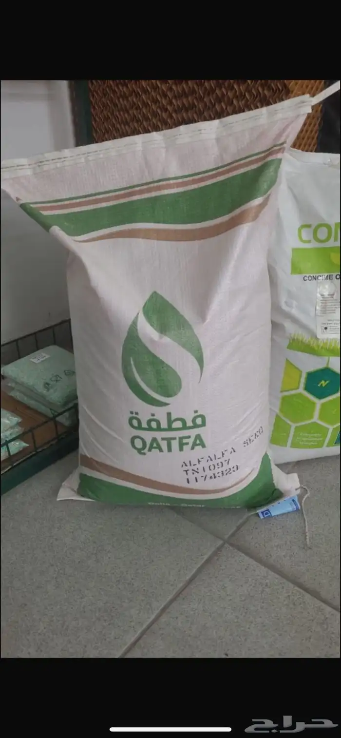 بذر برسيم امريكي 0