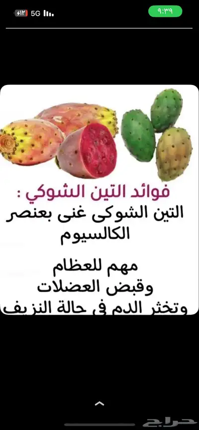 برشومي وفواكة الطائف 6