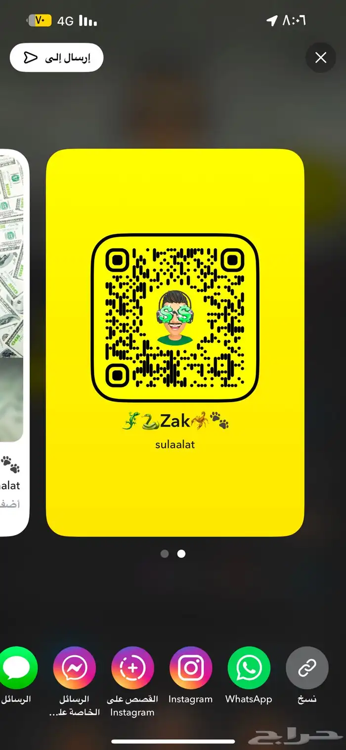كلاب بومرينيان 5