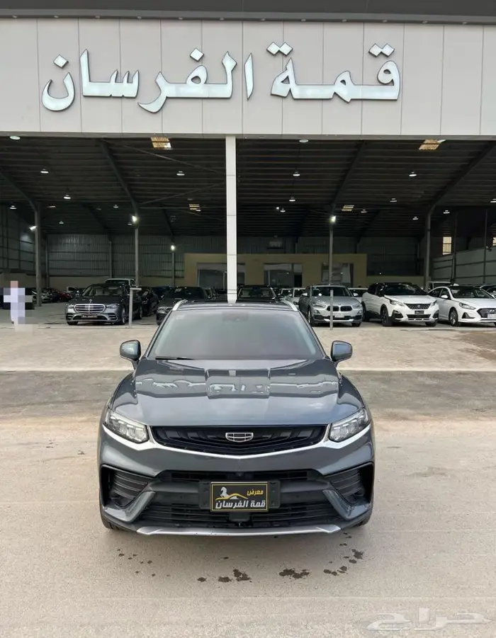 تورجيلا 2022 0