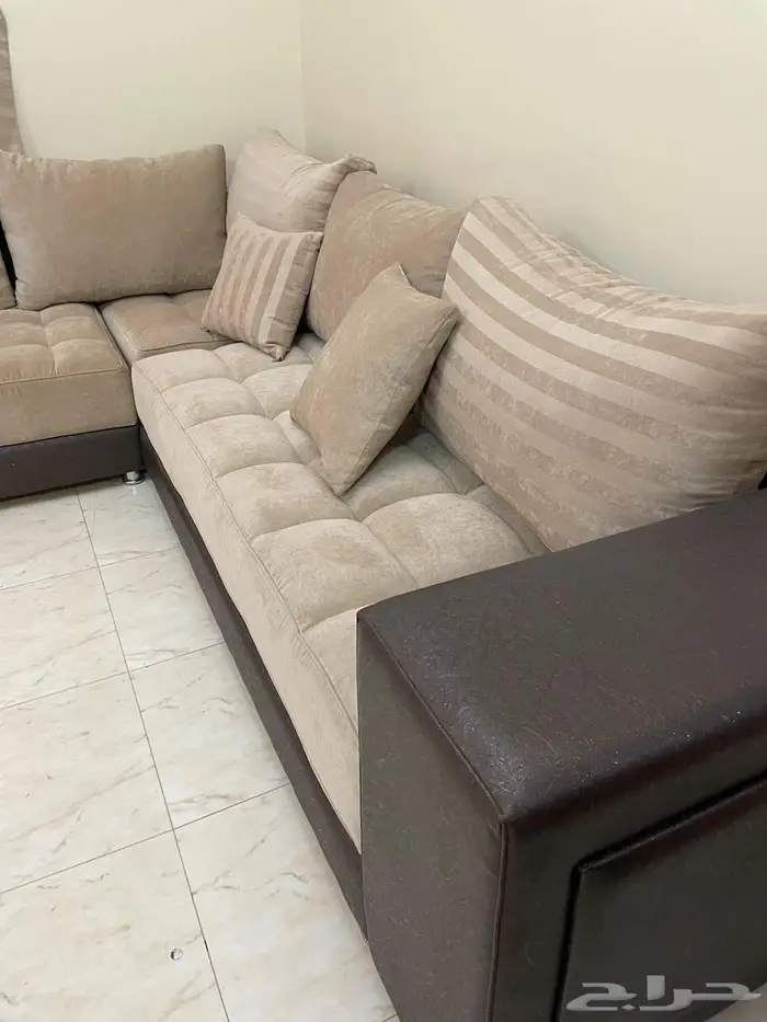 كنب نظيف اخو الجديد في شقراء 8