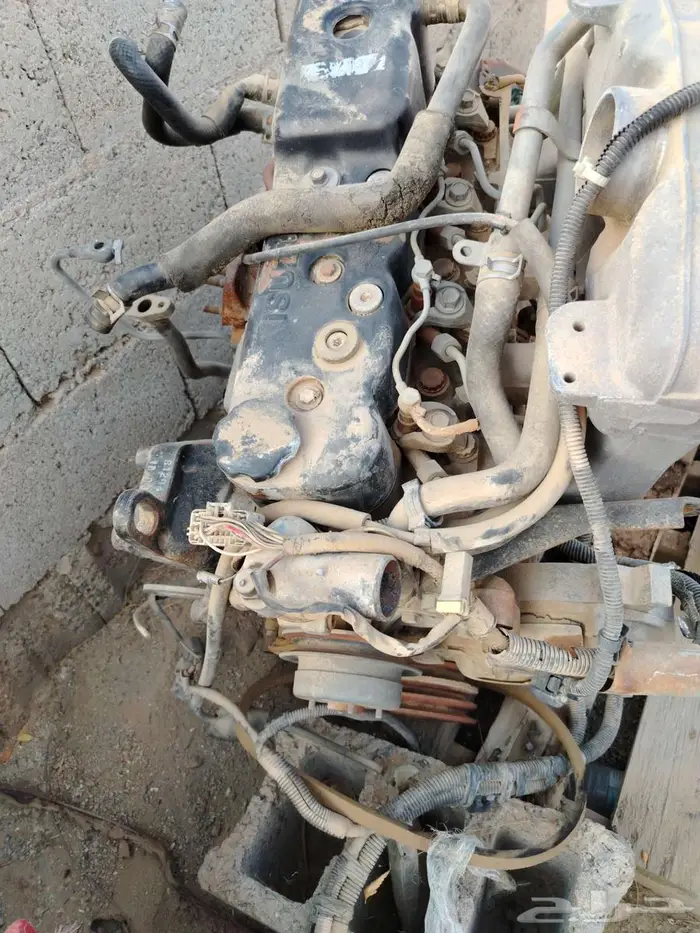 ايسوزو 2010 2