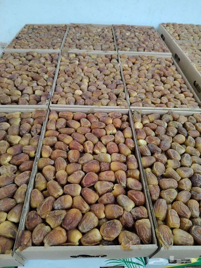 للبيع تمور سكري فاخر درجه اولى 1