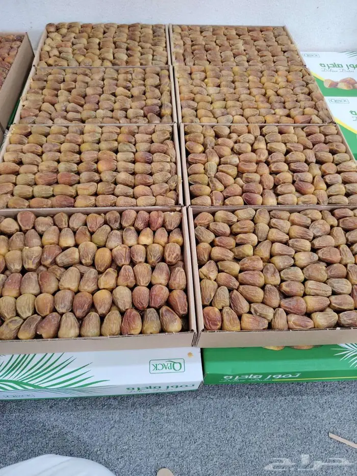 للبيع تمور سكري فاخر درجه اولى 2