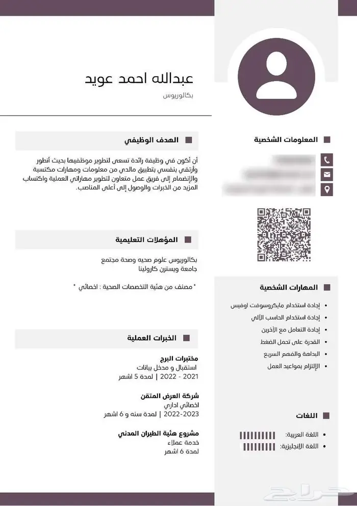 سيرة ذاتية احترافية cv 8