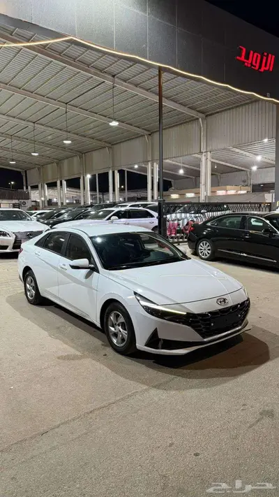 النترا 2022 عداد 101 نص فل 0