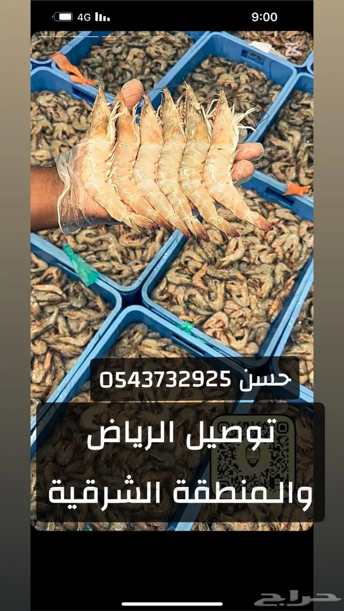 روبيان ربيان فرخ جامبو مع وسط قوي ب750شامل توصيل وتنظيف 0