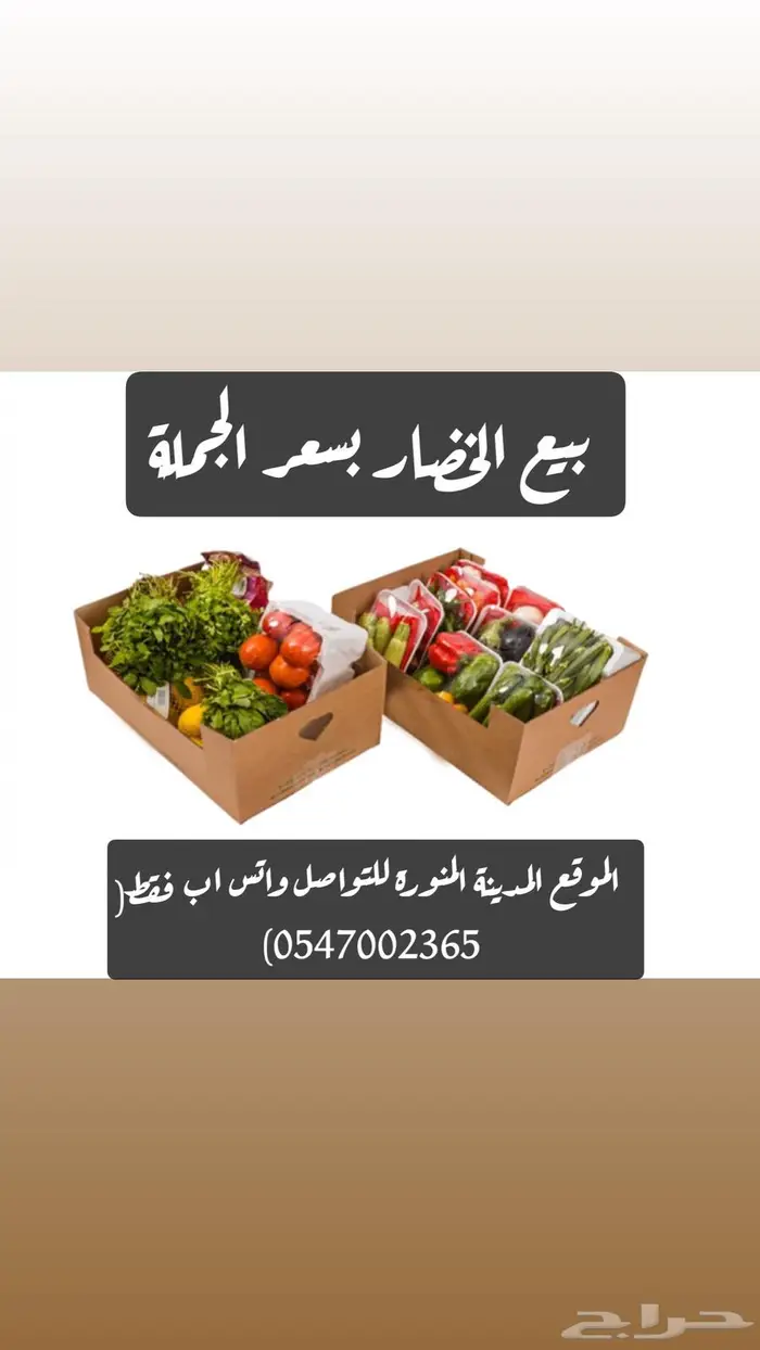بيع خضار بسعر الجملة 0
