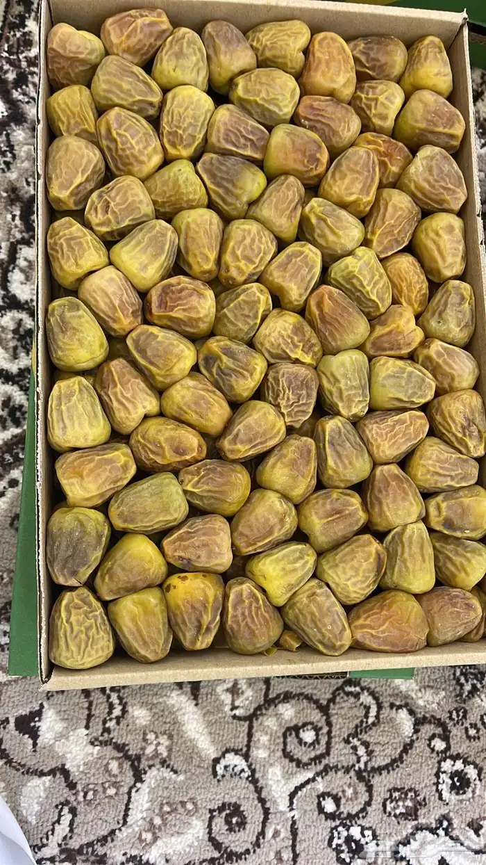 تمر سكري مفتل القصيم كميات كبيرة متوفرهه 0