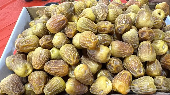 تمر سكري فاخر ومتنوع من مزارعنا بالقصيم بريدة الغماس 1