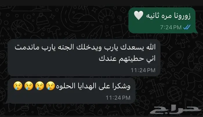 فندقة قطط رعاية منزلية في جدة 8