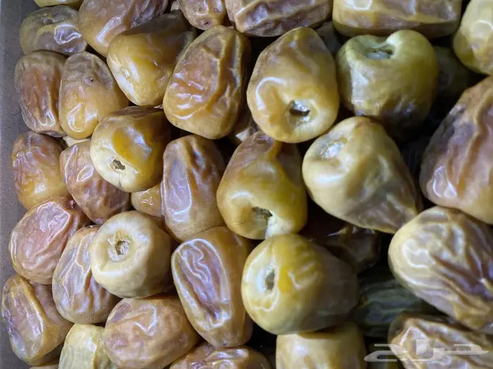 تمر سكري (جديد هذي السنة) 0