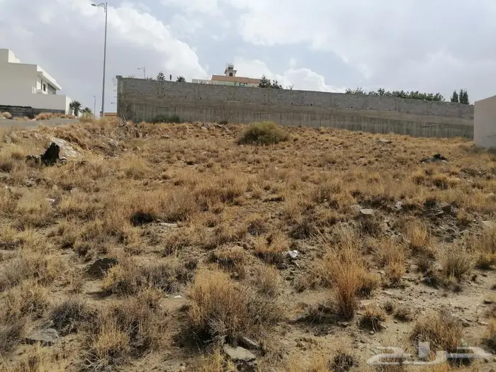 للبيع أرض بأبها في حي السلمة ال غليظ 6
