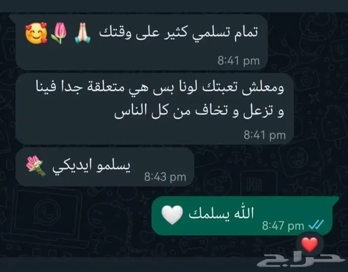 فندقة قطط رعاية منزلية في جدة 5