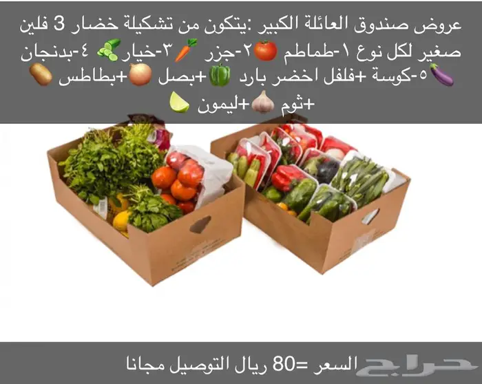 بيع خضار بسعر الجملة 3