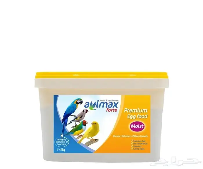 مستلزمات طيور العاب اكل ببغاء العاب أقفاص 5