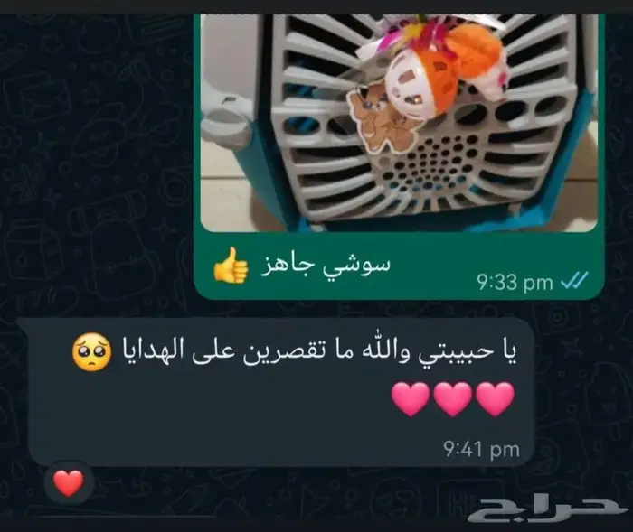 فندقة قطط رعاية منزلية في جدة 2