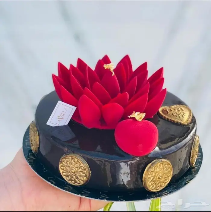 شيف مغربي 16