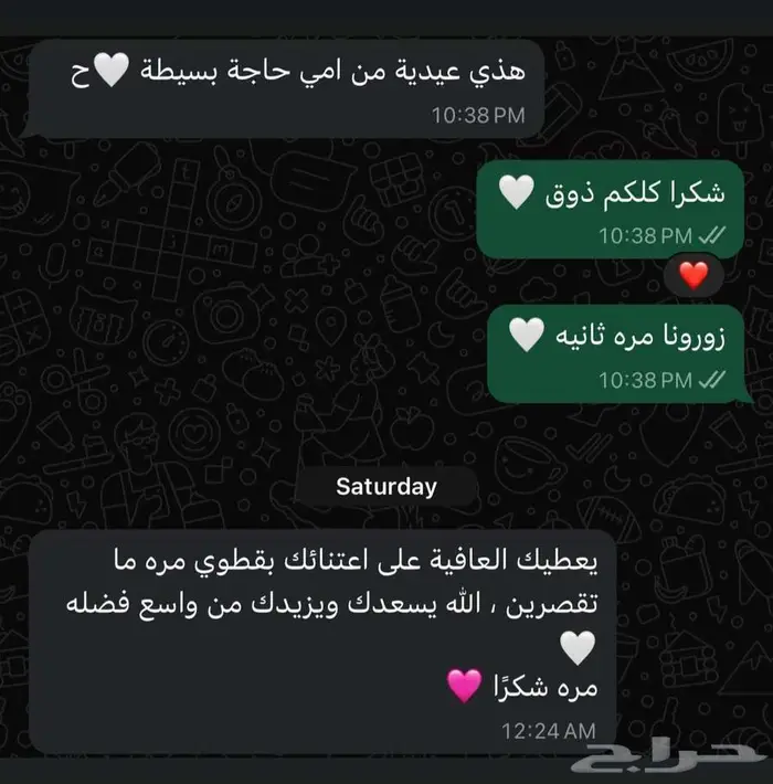 فندقة قطط رعاية منزلية في جدة 4