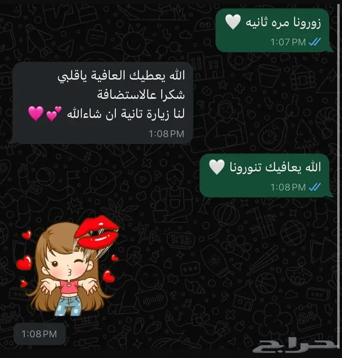 فندقة قطط رعاية منزلية في جدة 6