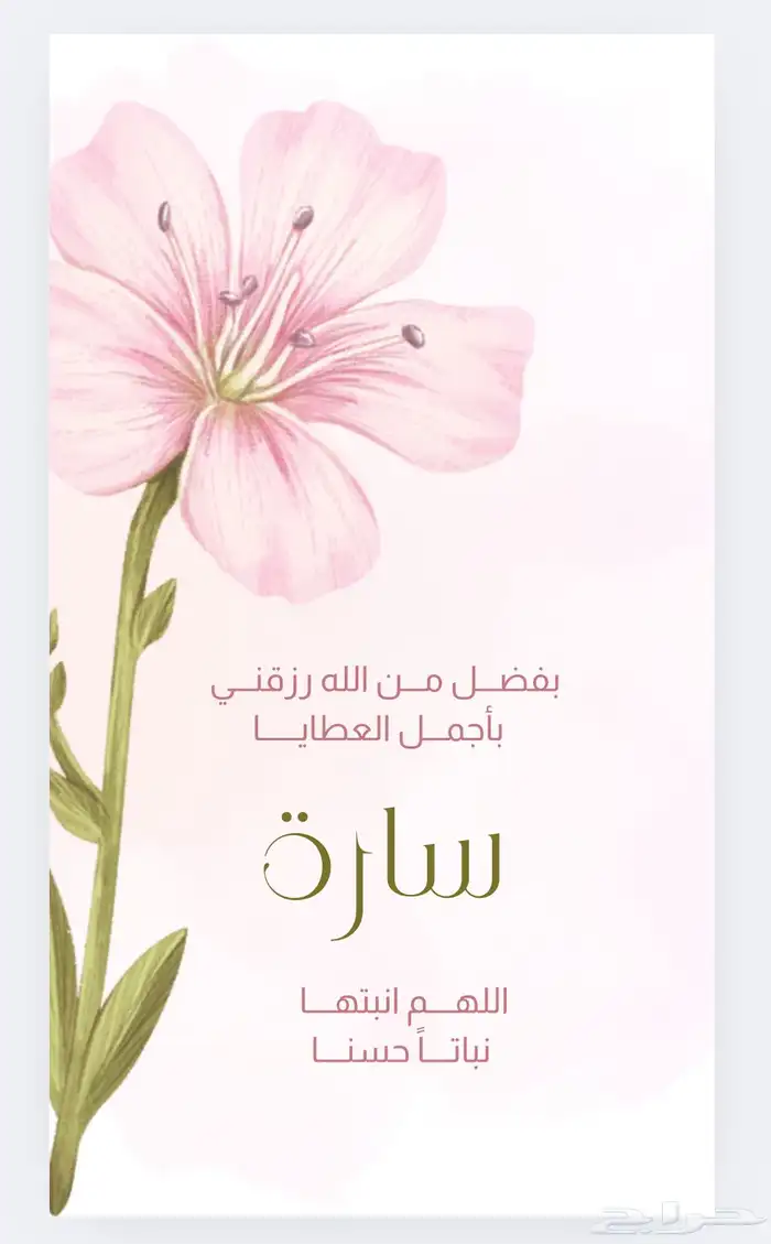 سيره ذاتيه احترافية تصميم دعوات وتنسيق ملفات بأسعار مميزة 0