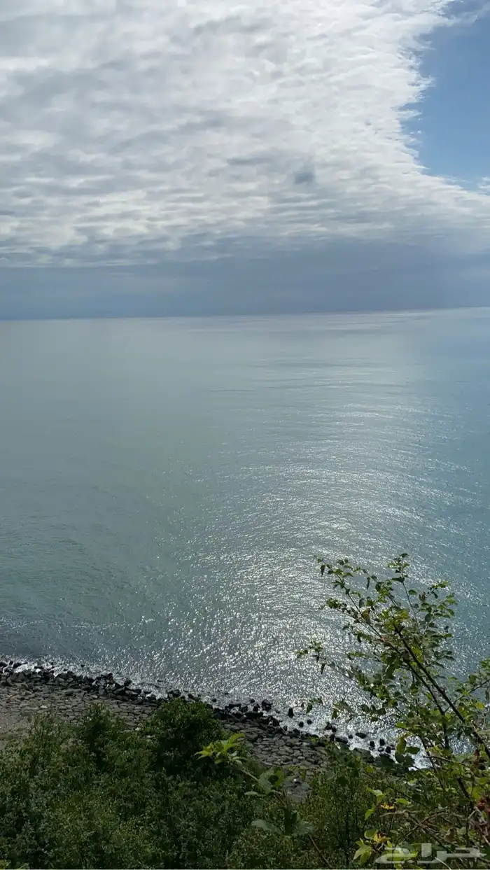 جداول سياحية وبكجات وسواقين في دولة جورجيا 18