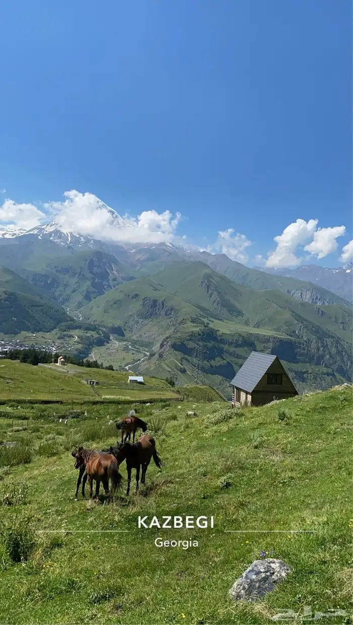 جداول سياحية وبكجات وسواقين في دولة جورجيا 13