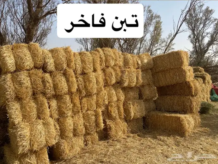 للبيع علاف ممتاز وسعار منافسة 2