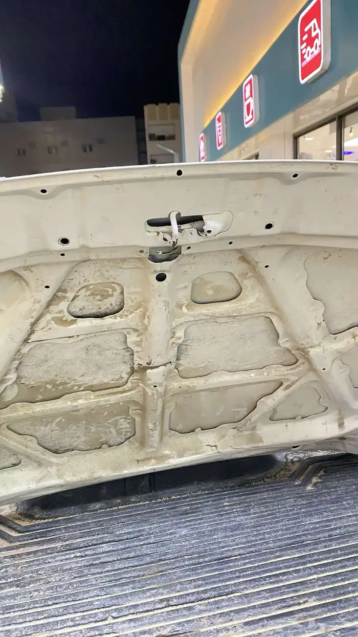 كبوت يبانيه 1