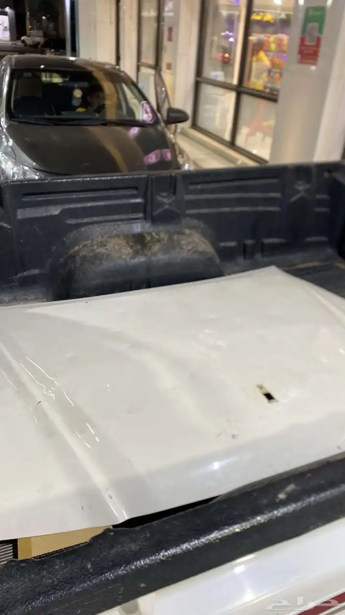 كبوت يبانيه 0