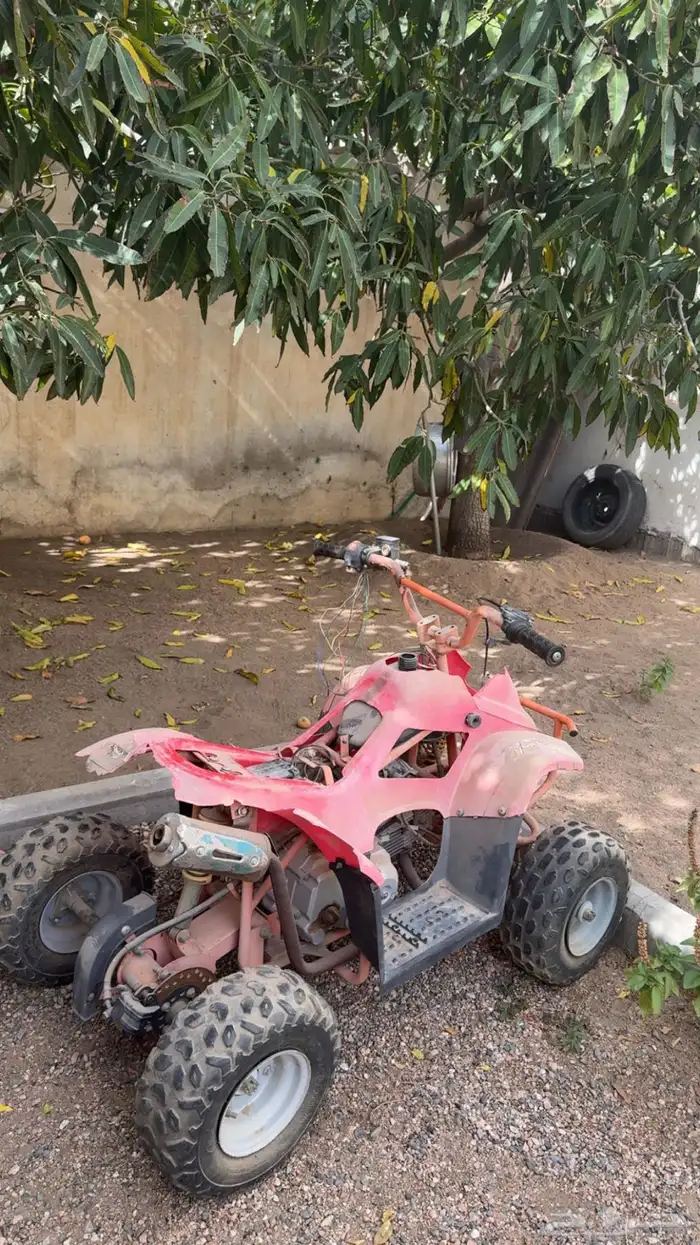 دباب 2