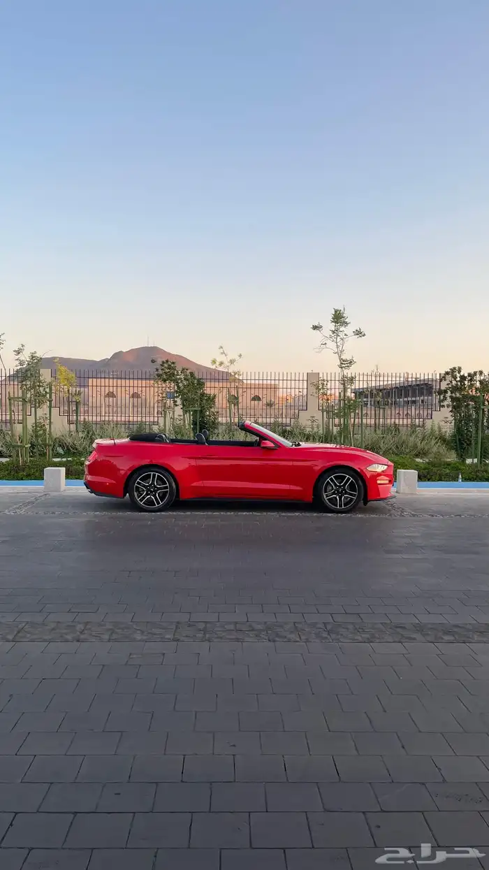 موستنج 2019 3