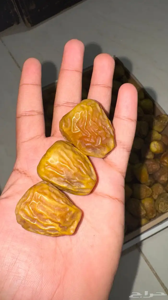 تمر سكري مفتل رقم واحد 0