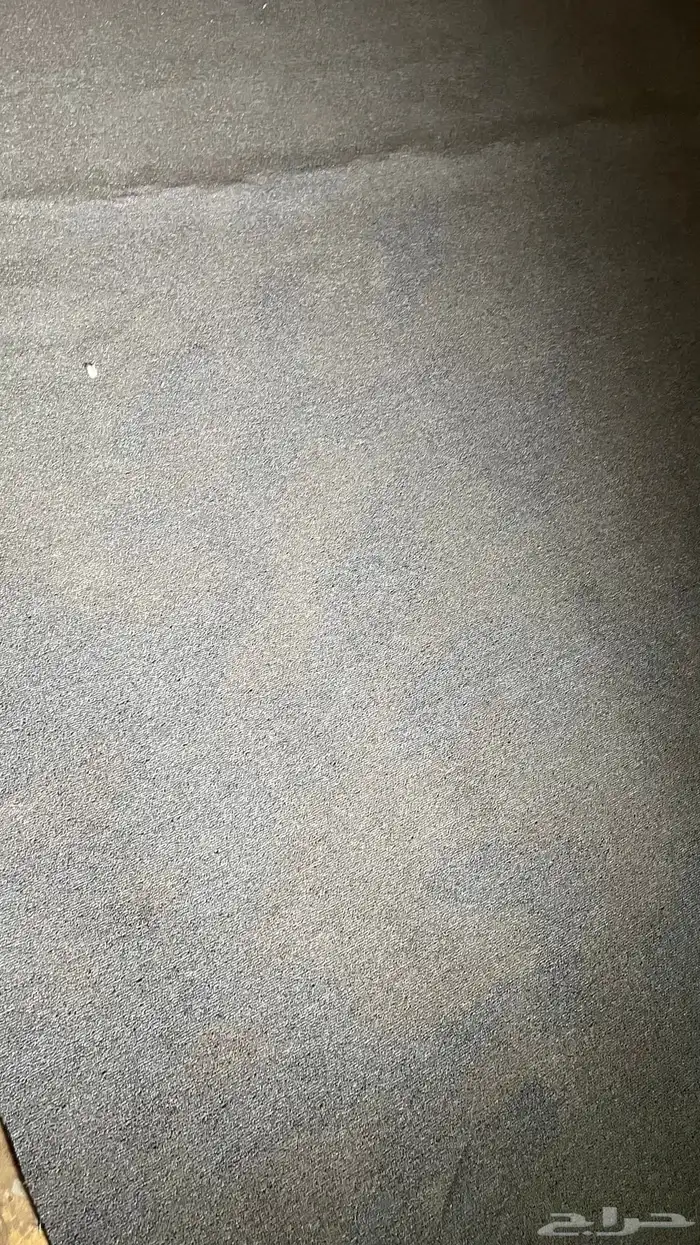 New Carpet for sale 1
