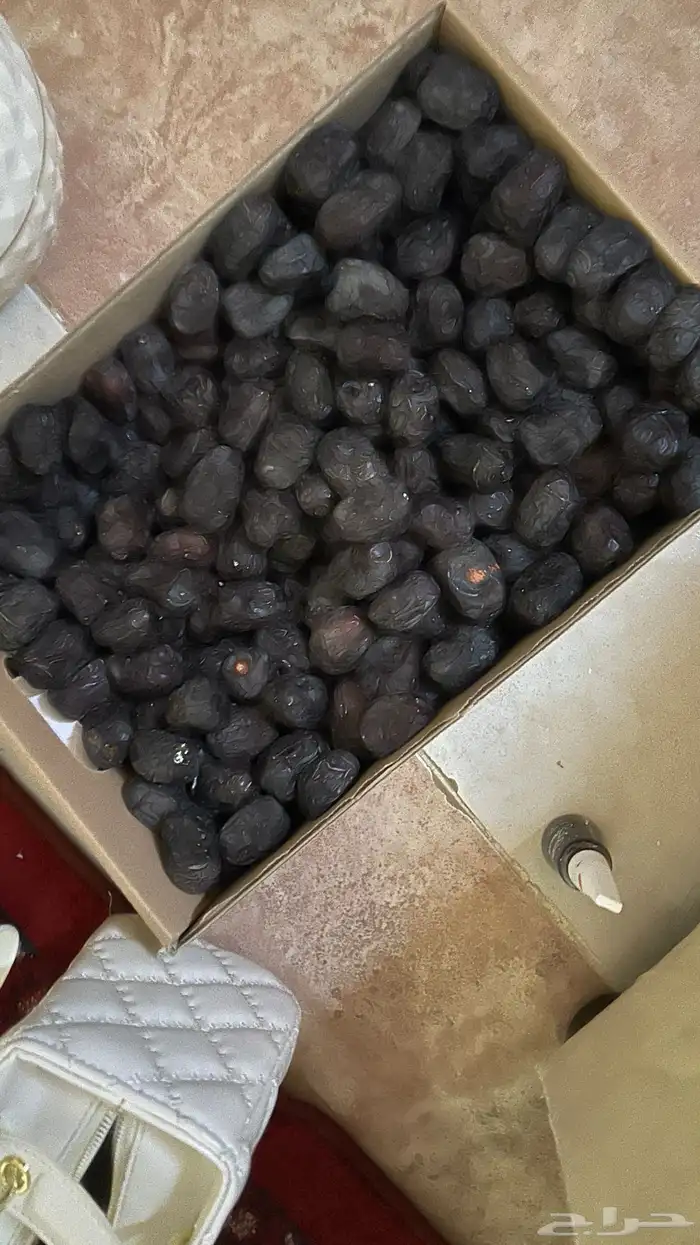 تمر عجوه فاخر موجود الان بالباحة 0