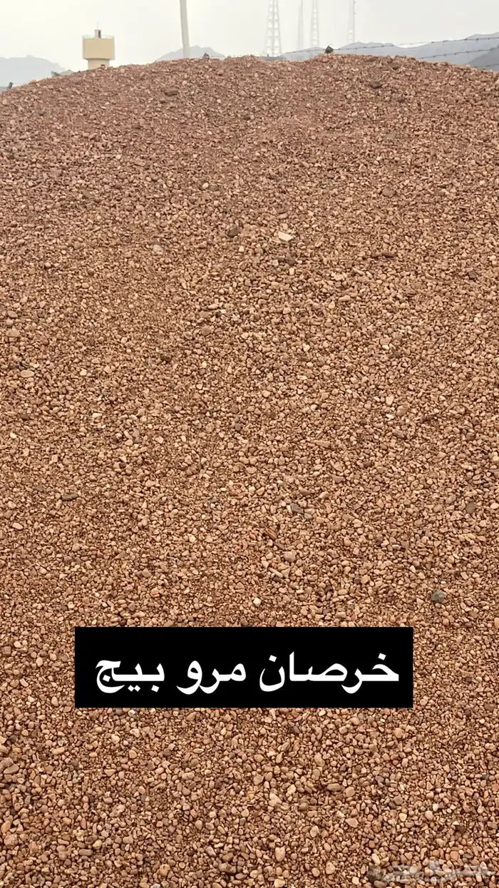 خرصان مور و كساره 8