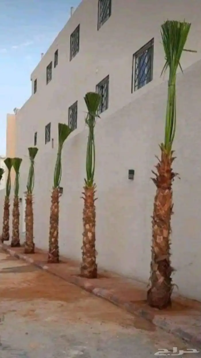 تنسيق حدائق منزليه 70