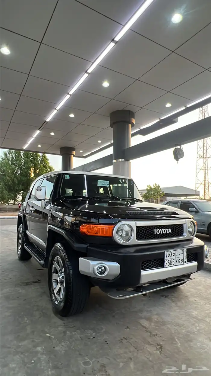 أفجي 2012 5