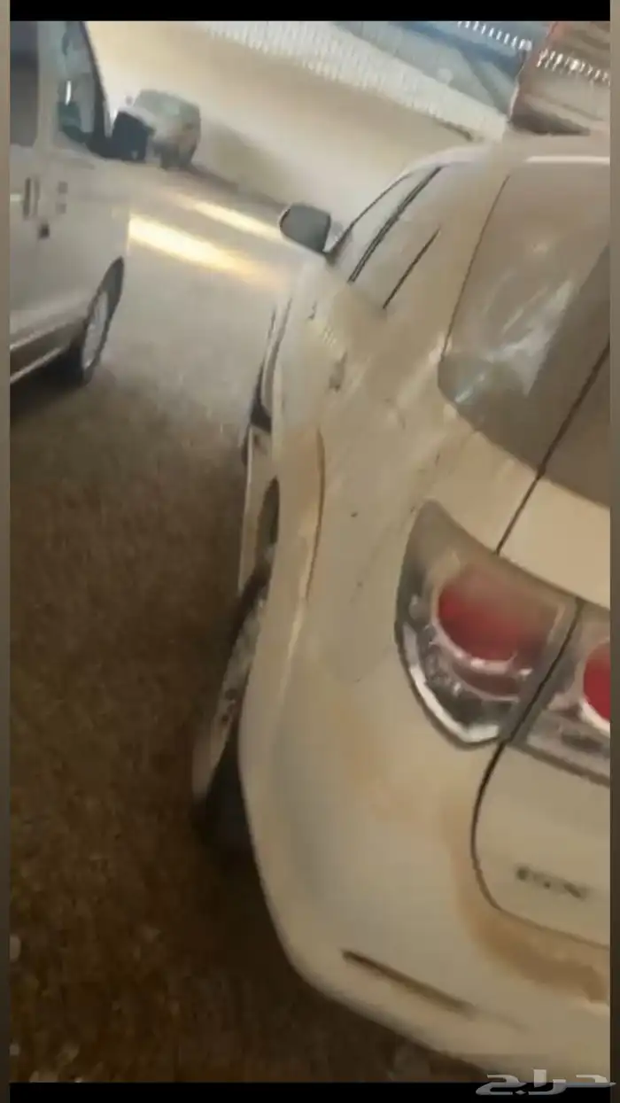 فورشنر2013 4