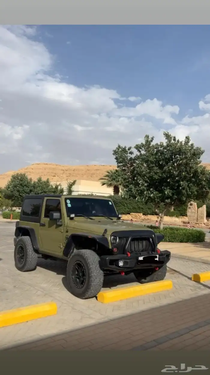 رانجلر 2013 0