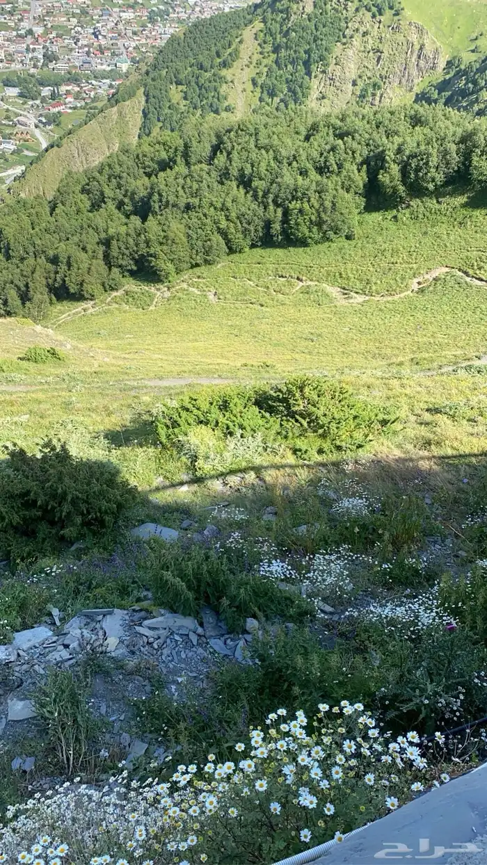 جداول سياحية وبكجات وسواقين في دولة جورجيا 47