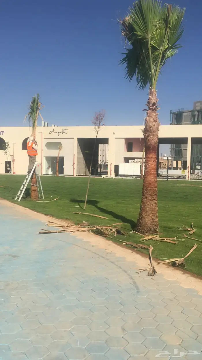 تنسيق حدائق منزليه 1