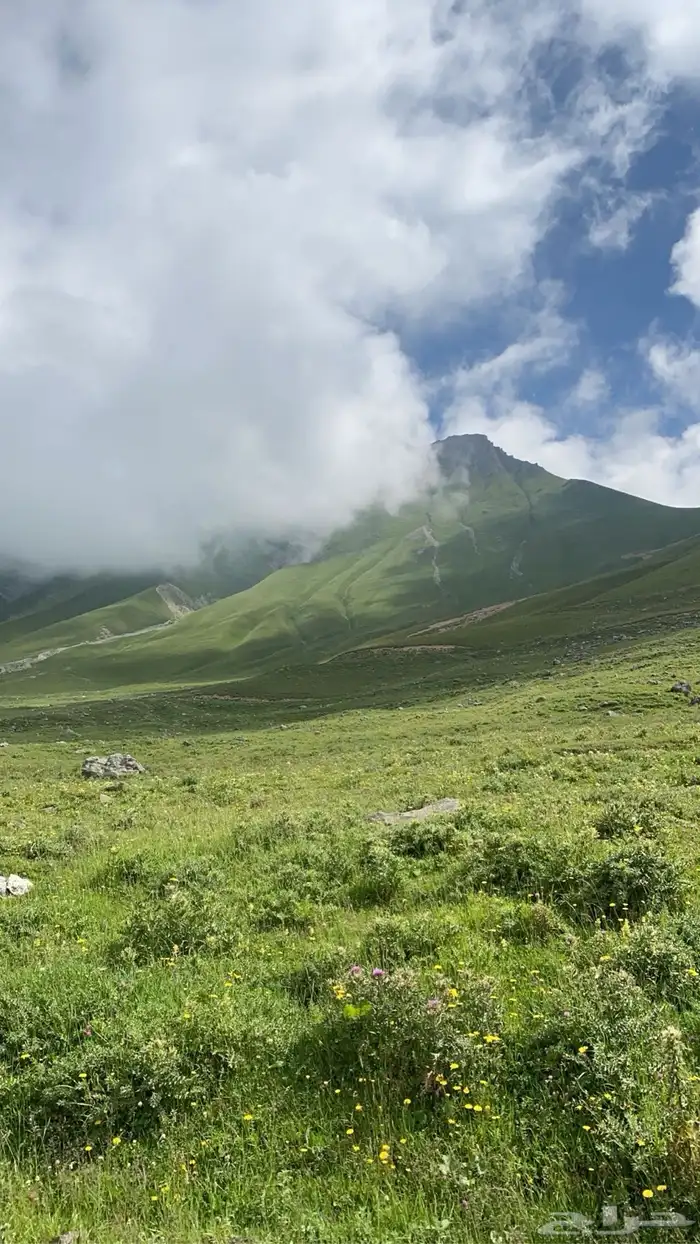 جداول سياحية وبكجات وسواقين في دولة جورجيا 42