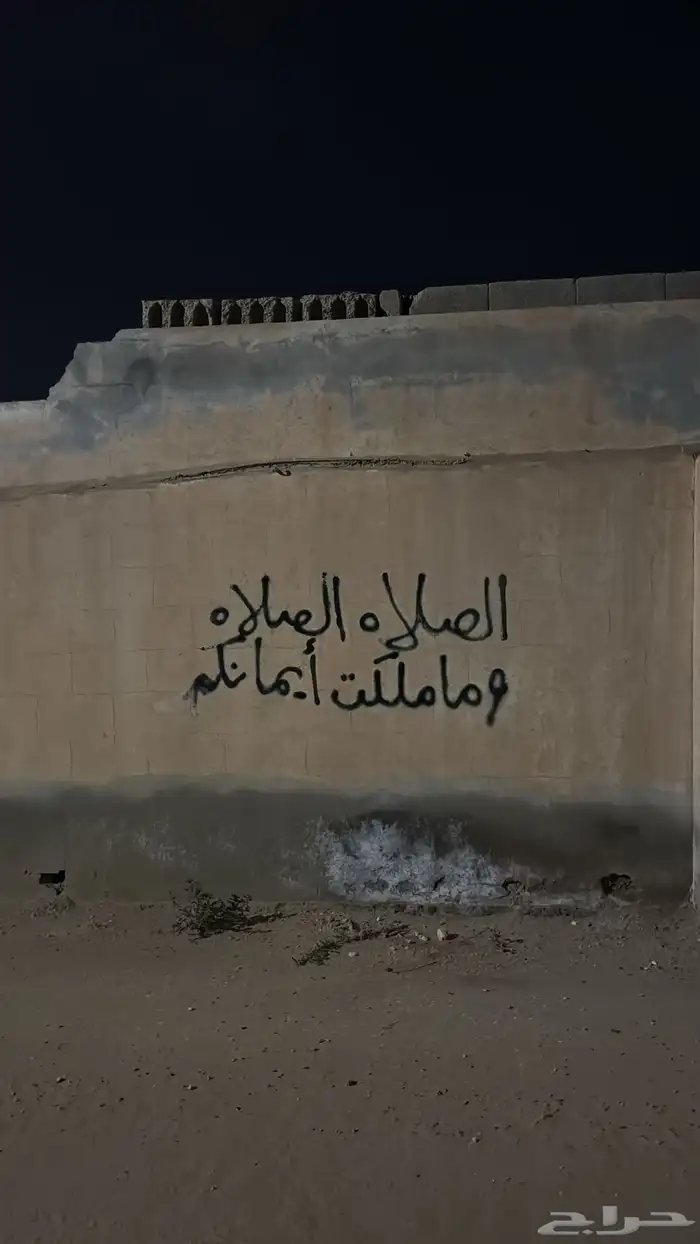 اتبنى الطيور الزينة عندي كامل الاستعداد والبيئة المناسبة لد 0