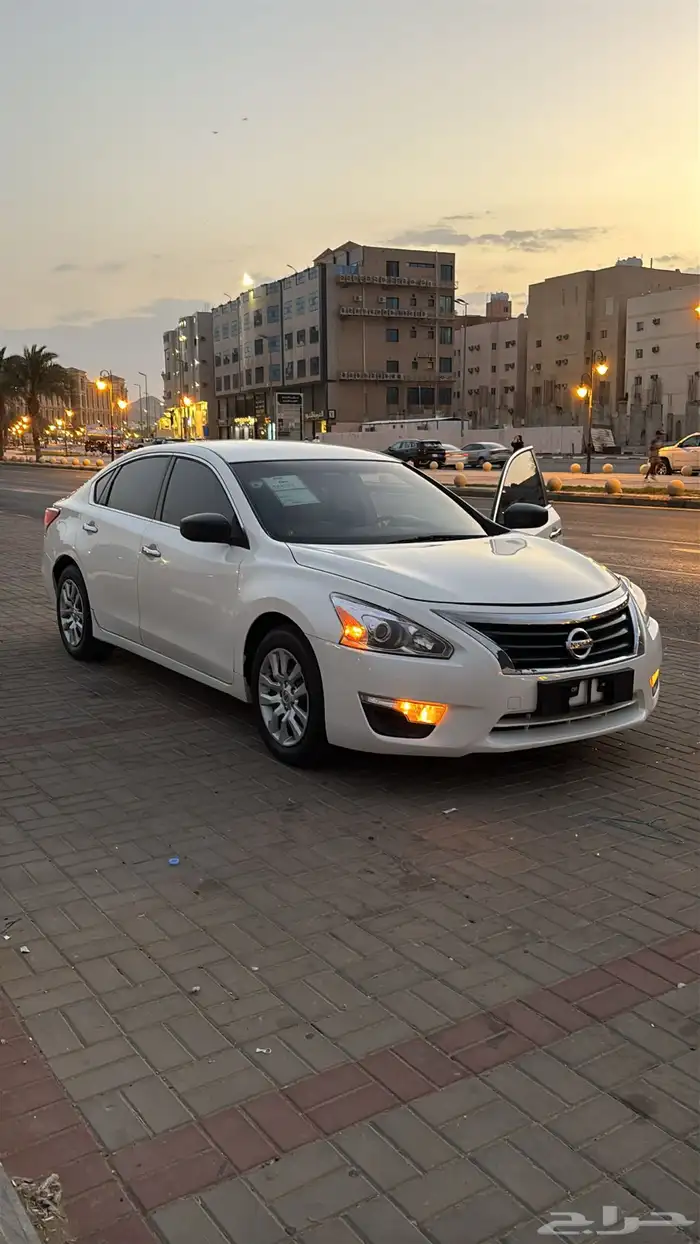 التيما 2013 1