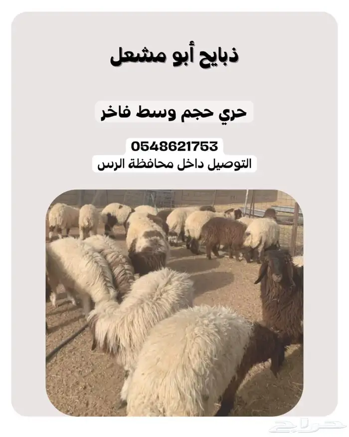 ذبايح الرس 3