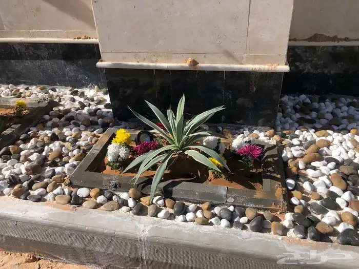 تنسيق حدائق منزليه 45