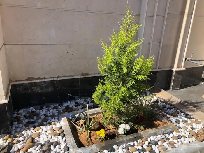 تنسيق حدائق منزليه 47