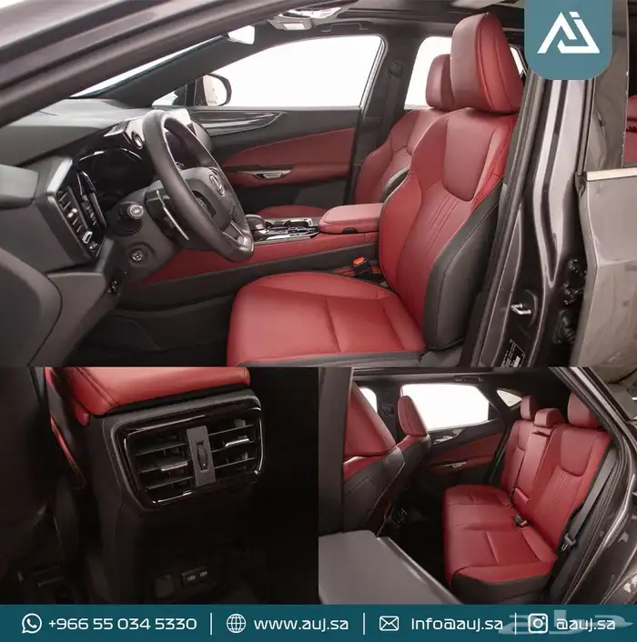 2024 Lexus NX350h 6